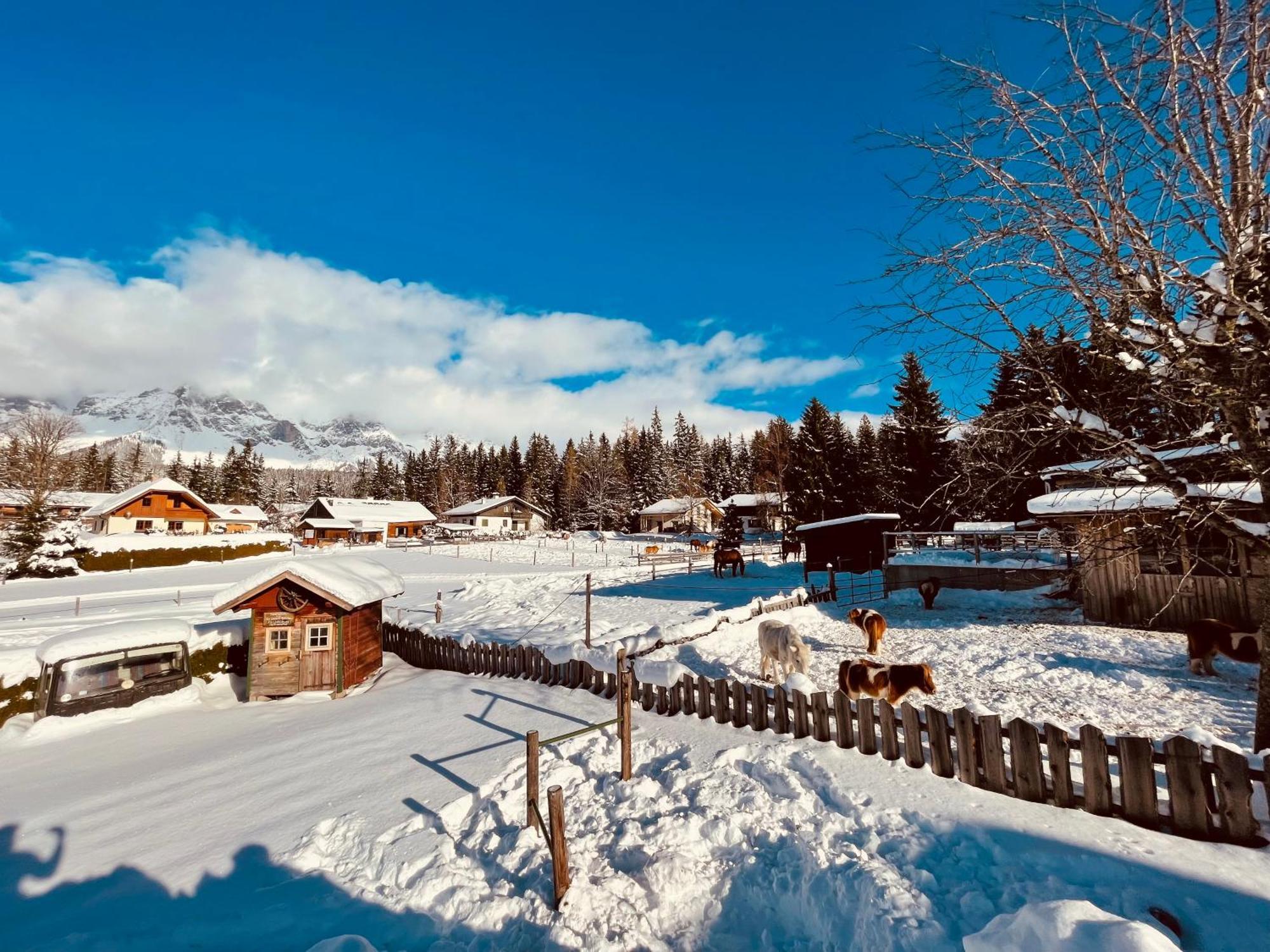 Pension Vorberghof- Bauernhofurlaub Ramsau am Dachstein Εξωτερικό φωτογραφία