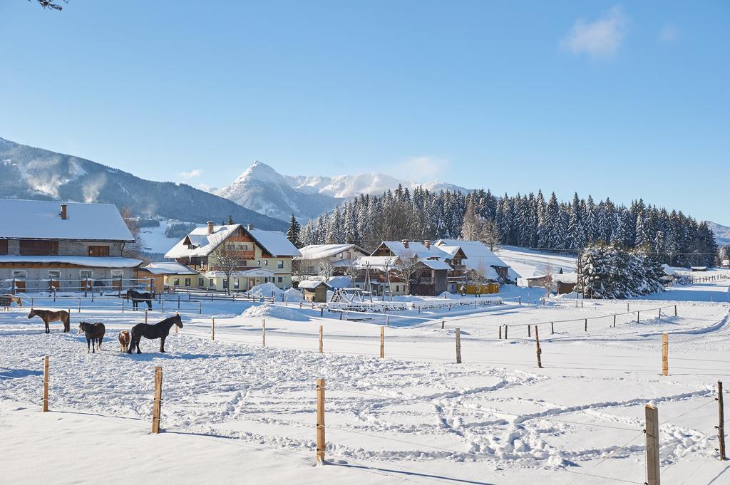 Pension Vorberghof- Bauernhofurlaub Ramsau am Dachstein Εξωτερικό φωτογραφία